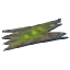 Ancient Bark