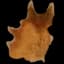 Deer Hide