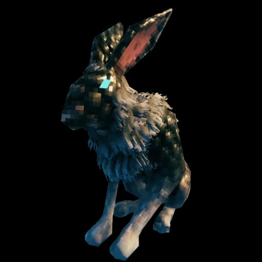 Hare
