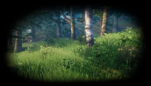 Meadows