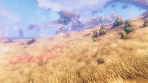 Plains