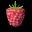 Raspberries
