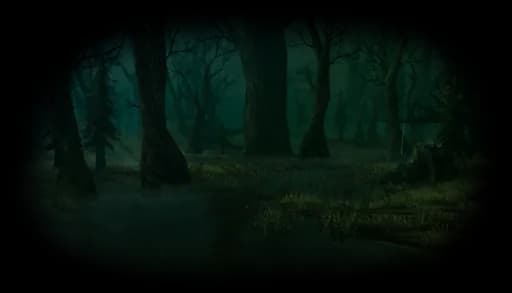 Swamp