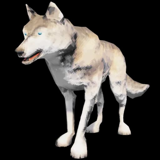 Wolf